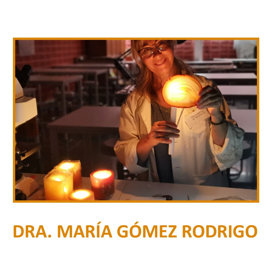 Asociación el Camino del Santo Grial